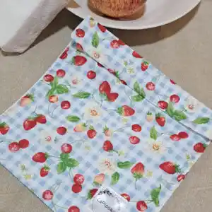 bolsa para sandes