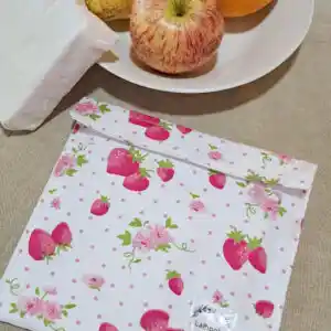 bolsa para sandes